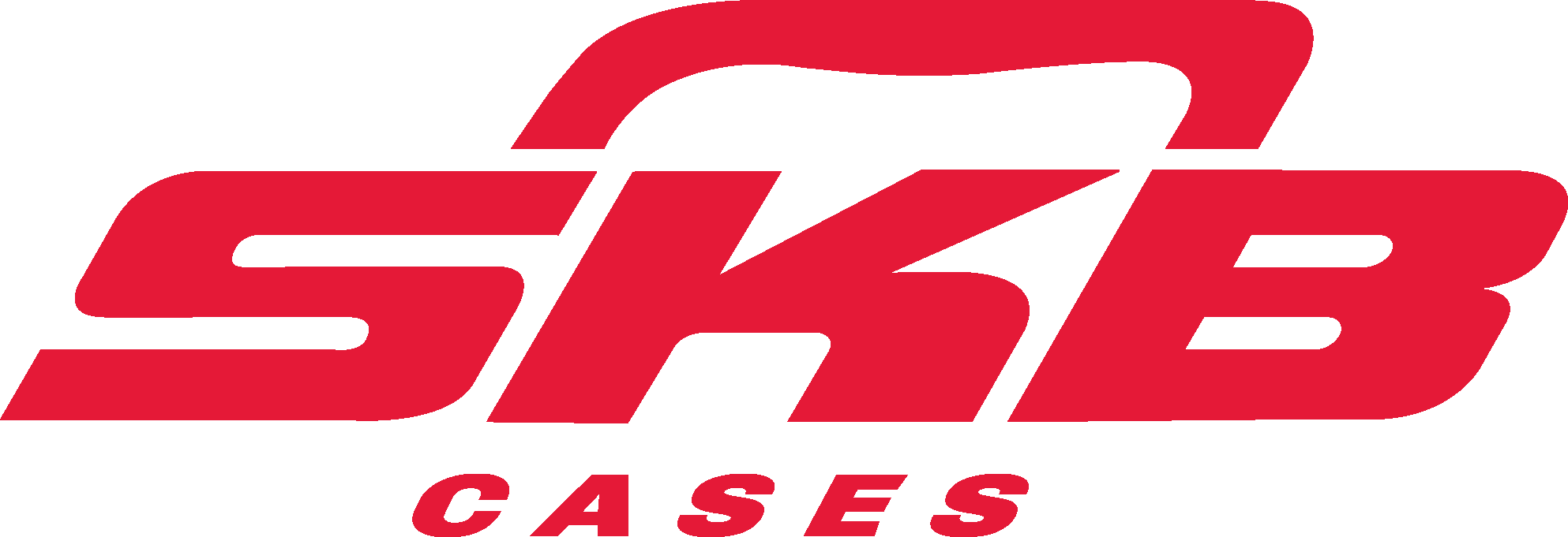 skbcases